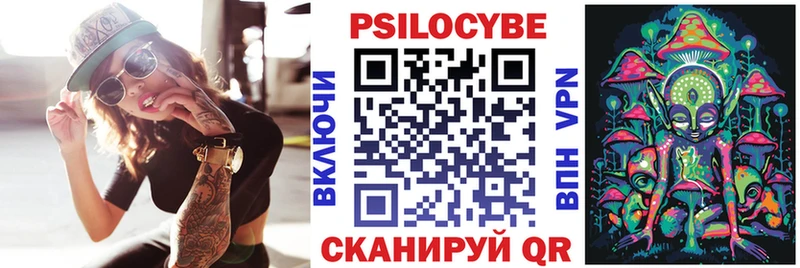 Псилоцибиновые грибы Psilocybine cubensis даркнет клад Завитинск blacksprut как зайти