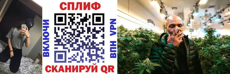 Каннабис MAZAR  Завитинск 